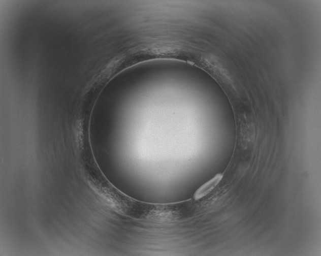 X0000076390260200610061158