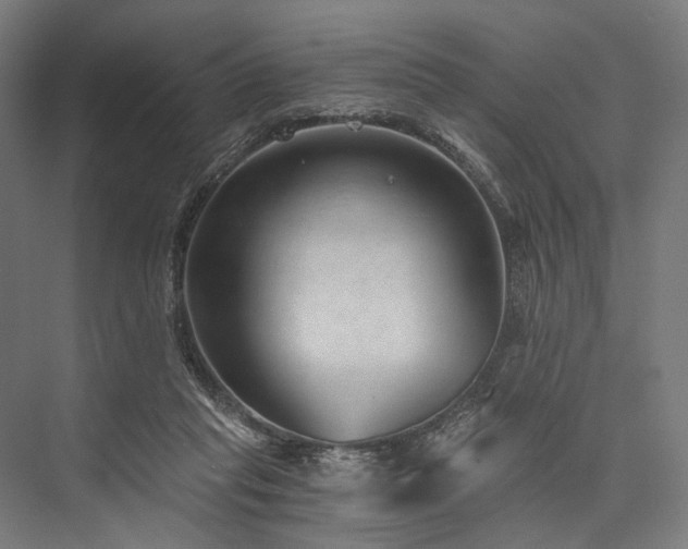 X0000076390261200610061158