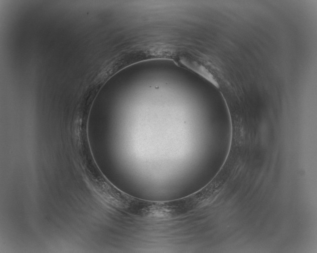 X0000076390263200610061158