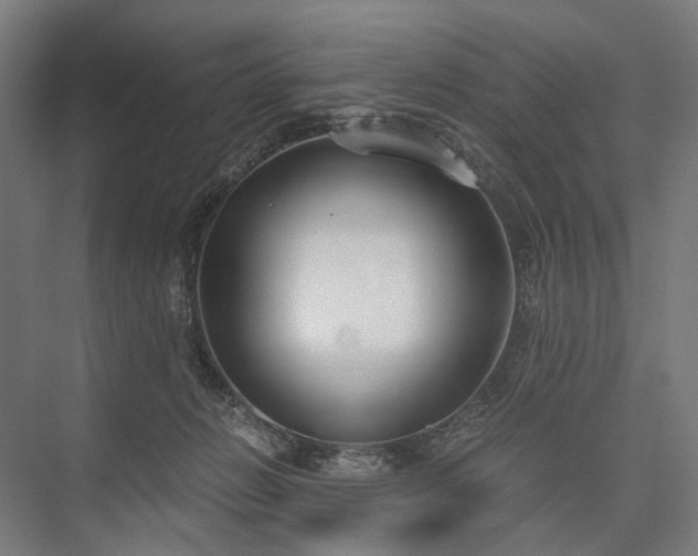 X0000076390270200610061158