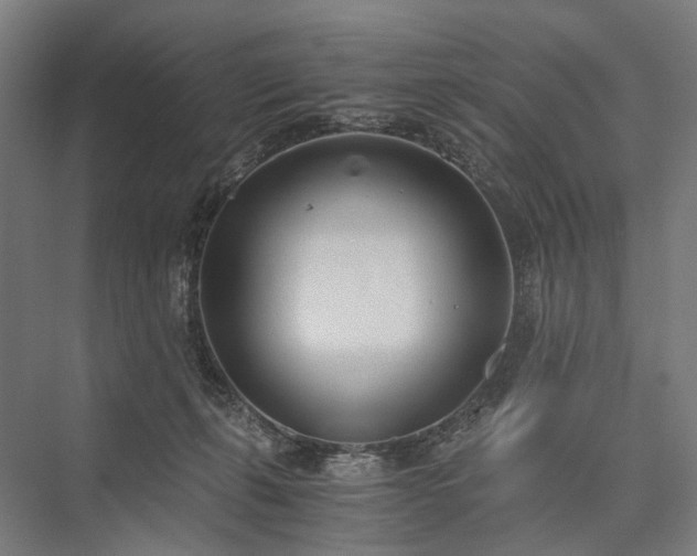 X0000076390271200610061158