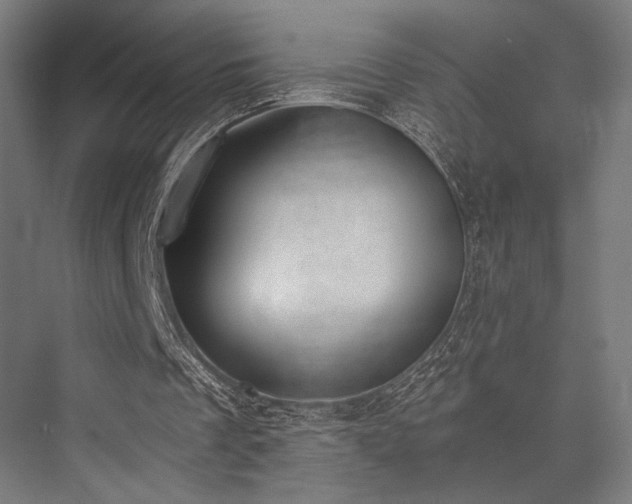 X0000076390289200610061158