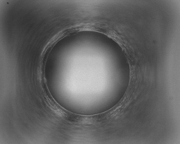 X0000076390293200610061158