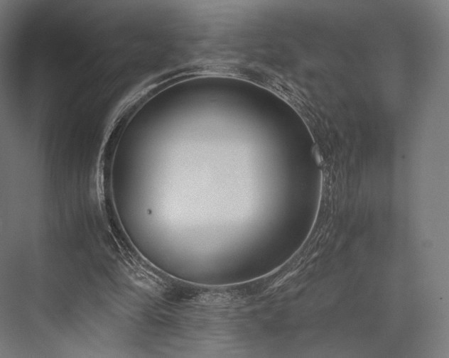 X0000076390294200610061158