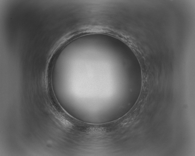 X0000076390296200610061158