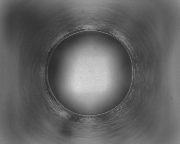X0000076390297200610061158