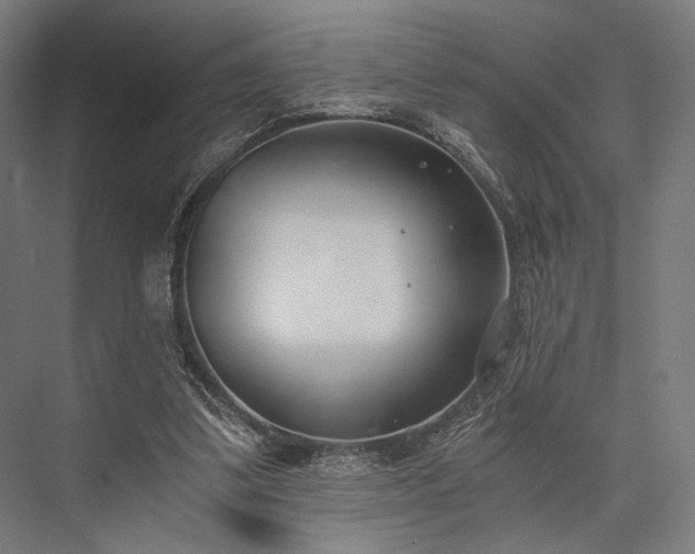 X0000076390299200610061158