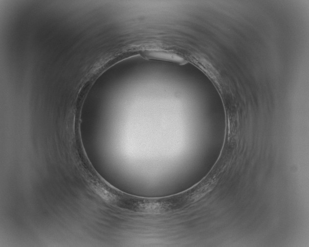 X0000076390301200610061157