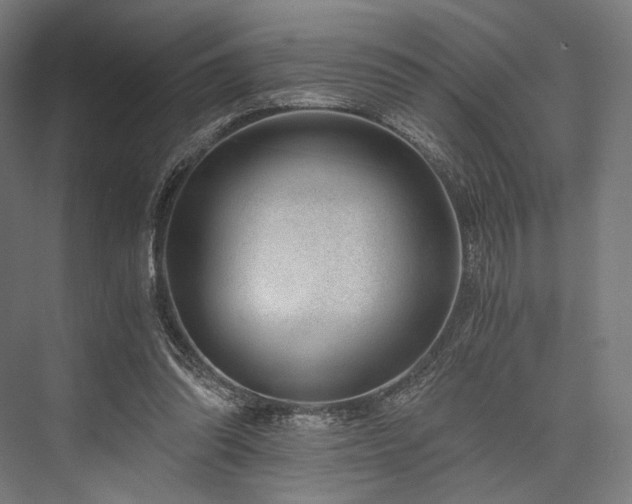 X0000076390302200610061157