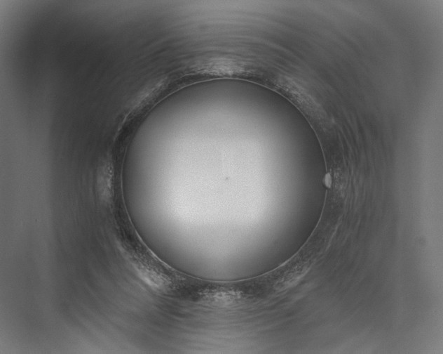 X0000076390304200610061157