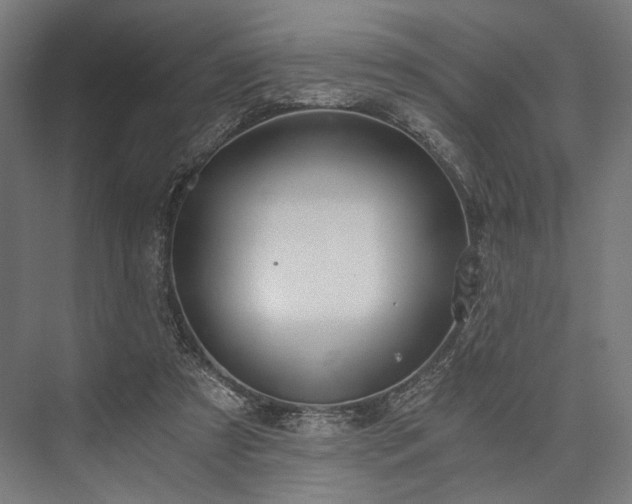 X0000076390305200610061157