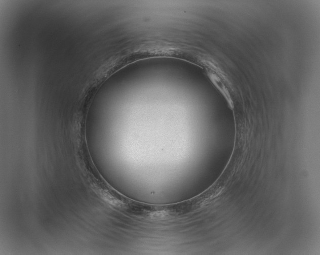 X0000076390309200610061157