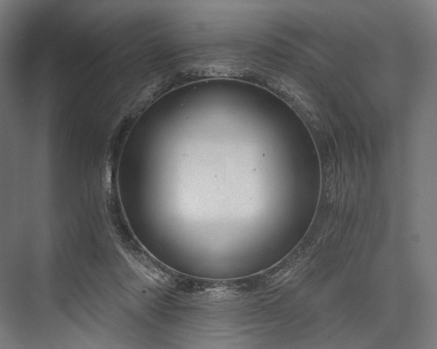 X0000076390310200610061157