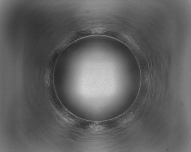 X0000076390311200610061157