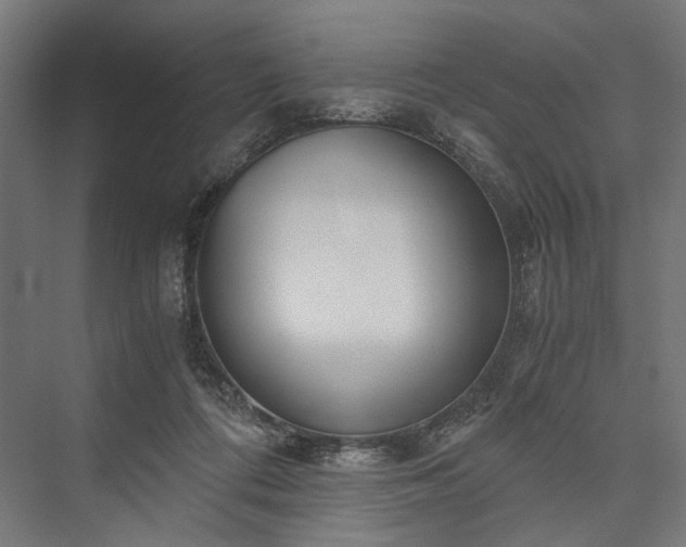 X0000076390312200610061157