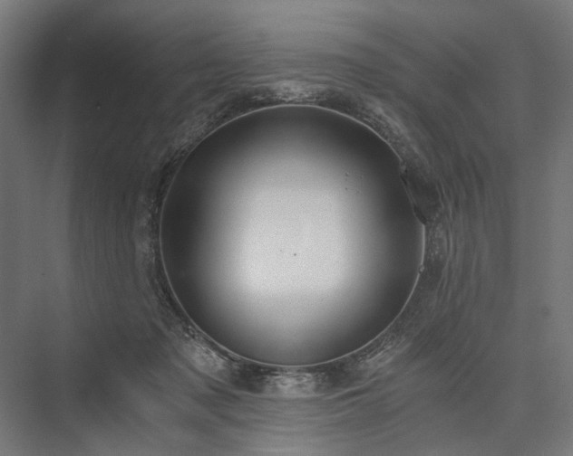 X0000076390317200610061157