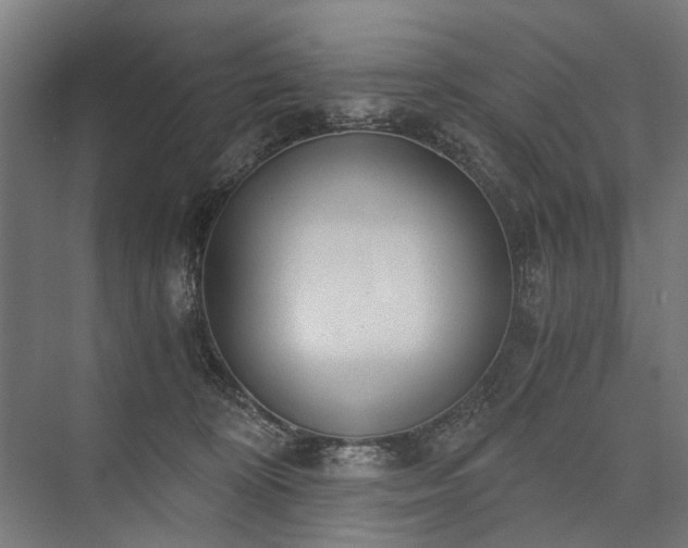 X0000076390324200610061157