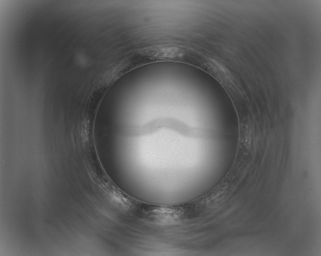 X0000076390326200610061157