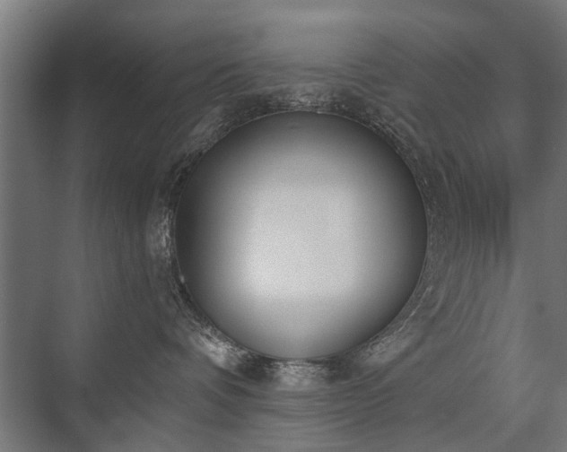 X0000076390336200610061157