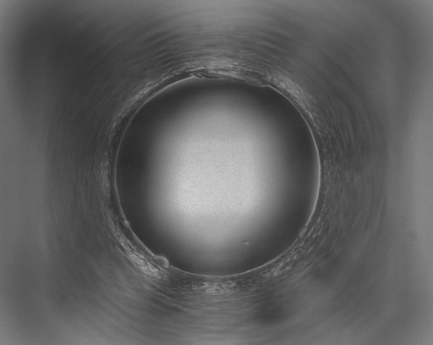 X0000076390345200610061156