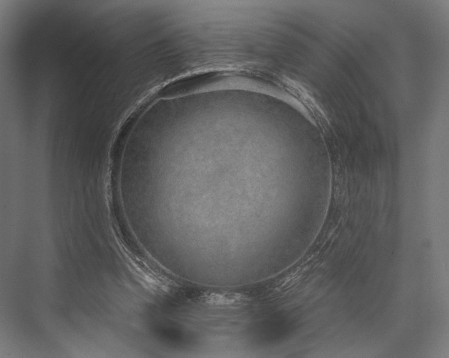 X0000076390346200610061156
