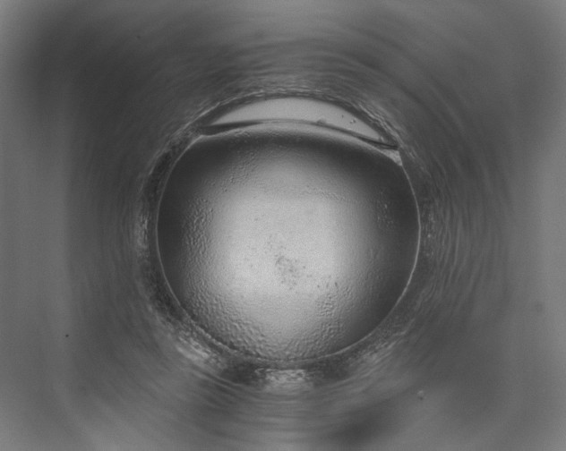 X0000076390355200610061156
