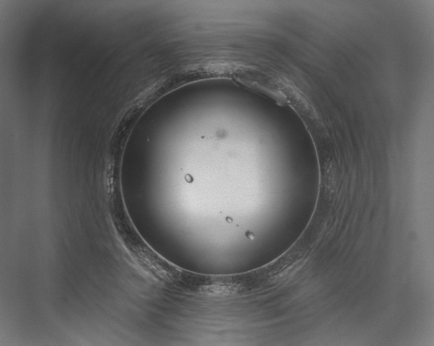 X0000076390356200610061156
