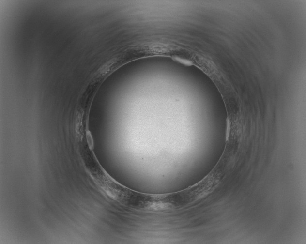 X0000076390360200610061156