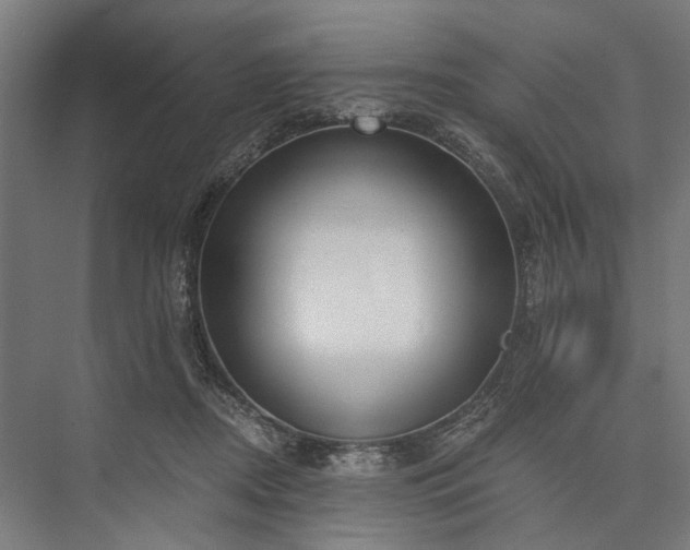 X0000076390362200610061157