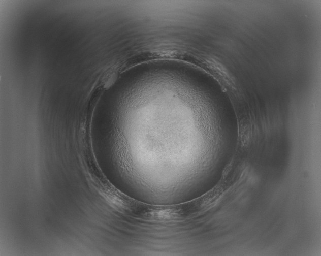 X0000076390365200610061157