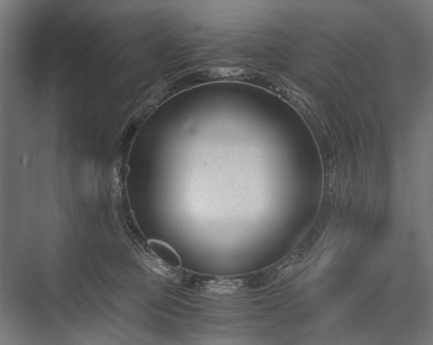 X0000076390373200610061157