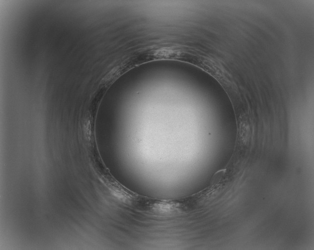 X0000076390375200610061157