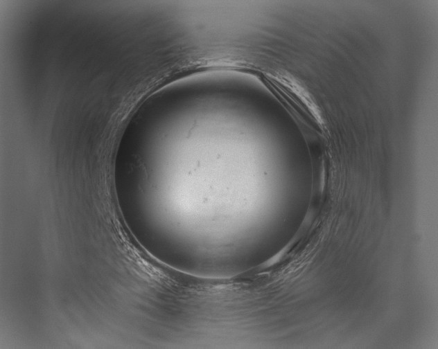 X0000076390385200610061156
