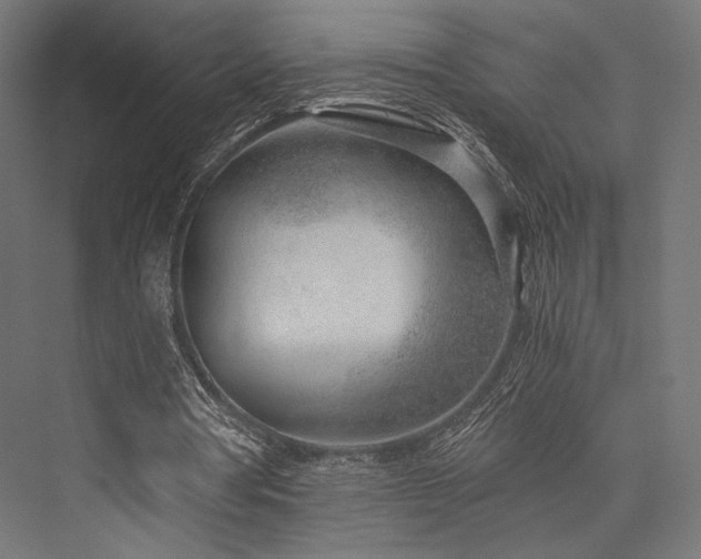 X0000076390386200610061156