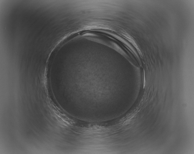 X0000076390387200610061156