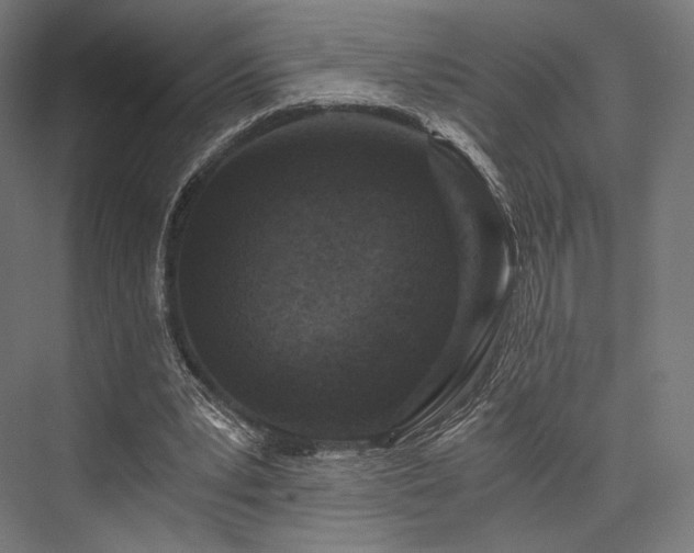 X0000076390391200610061156