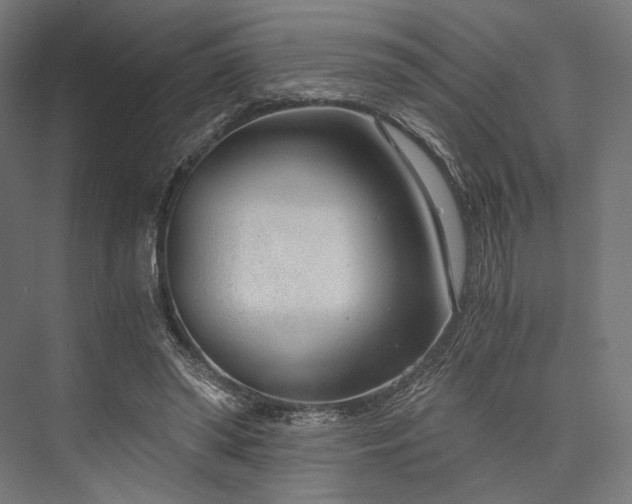 X0000076390398200610061156