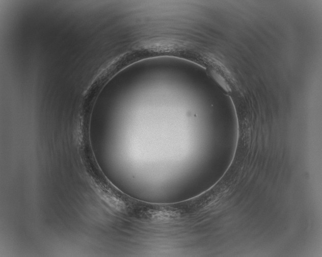 X0000076390400200610061156
