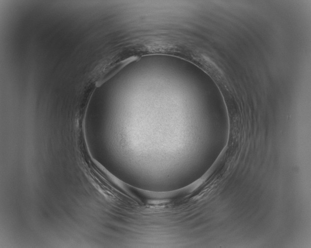 X0000076390405200610061156