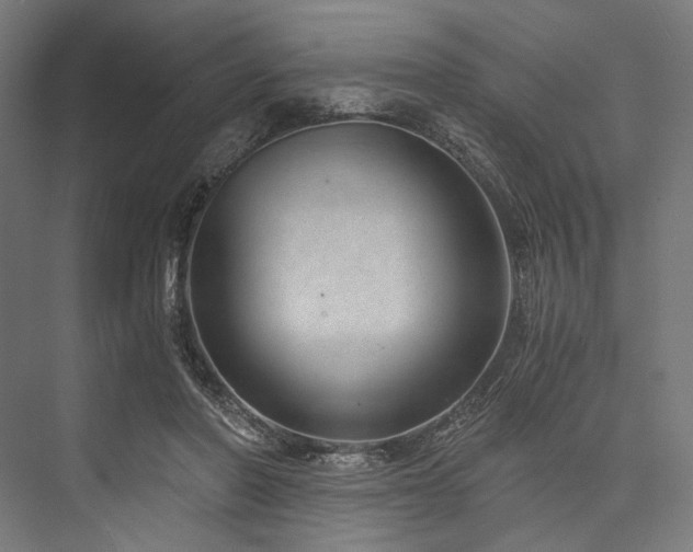 X0000076390406200610061156