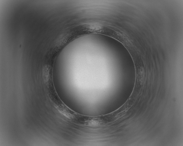 X0000076390412200610061156