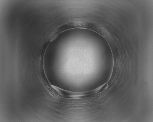 X0000076390413200610061156
