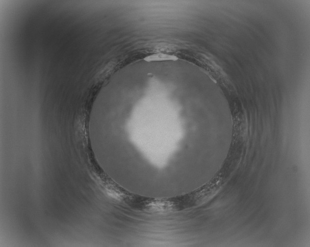 X0000076390415200610061156