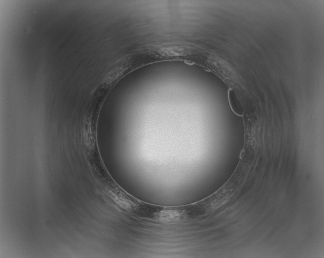 X0000076390418200610061156