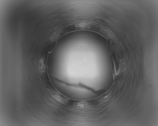 X0000076390420200610061155