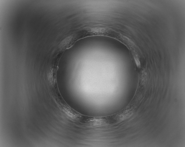 X0000076390428200610061155