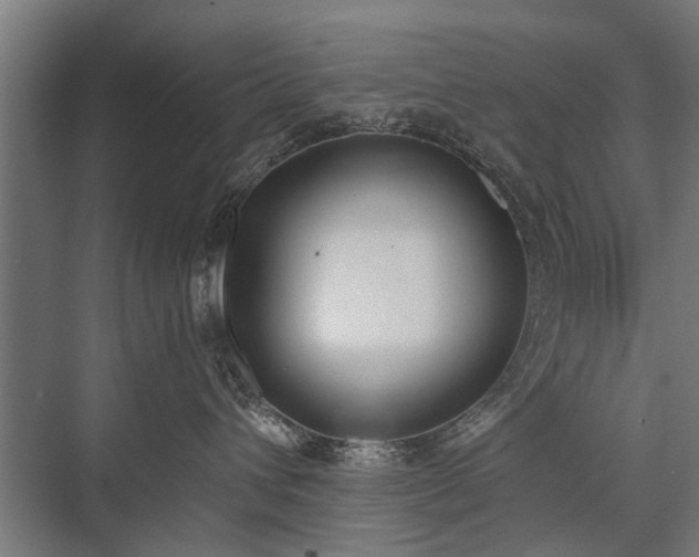 X0000076390432200610061155