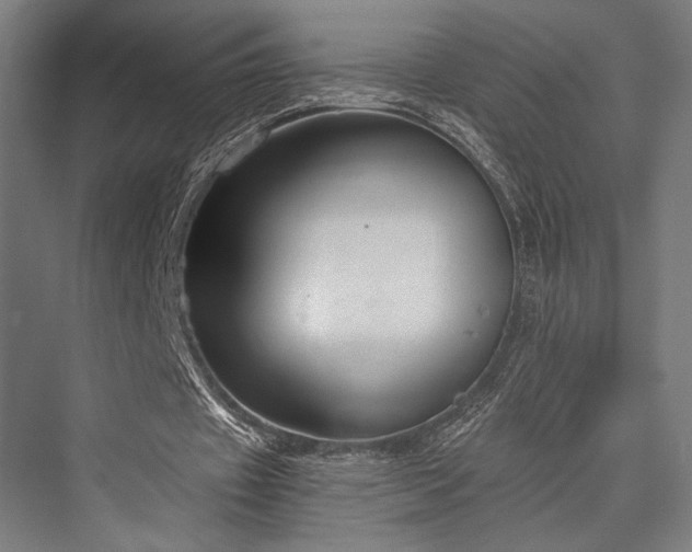 X0000076390433200610061154