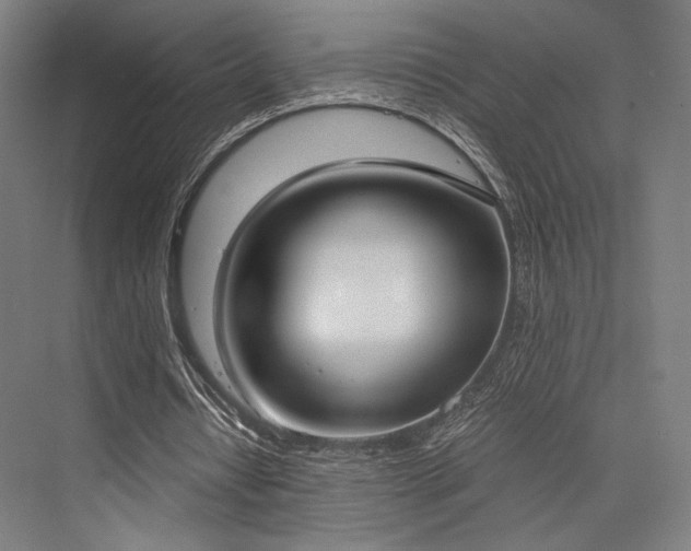 X0000076390434200610061154