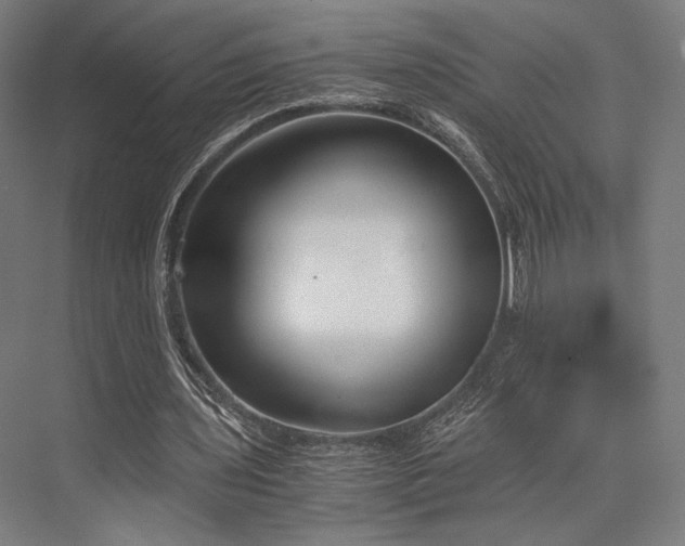 X0000076390435200610061154